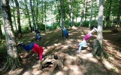 Pouk v gozdu – 1. razred